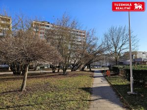 Družstevní byt 1+1, se 2 lodžiemi s hezkým výhledem na Olomouc, na ulici Politických vězňů.